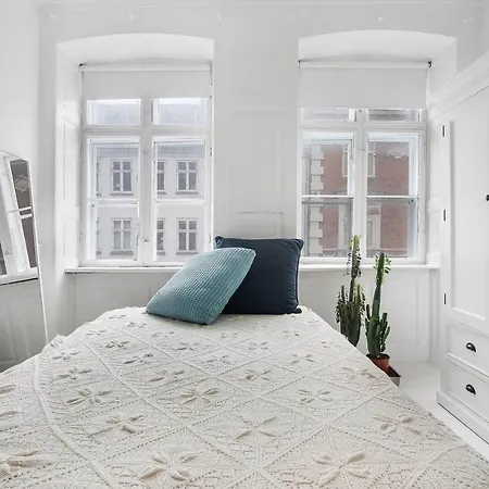 Apartment Elegant And Spacious 200sqm Flat In The Center Copenhagen